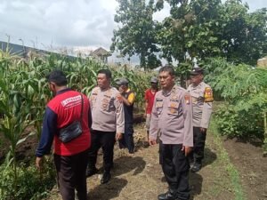 Polisi Cinta Petani, Kapolsek Porong Turun Langsung Cek Lahan Ketahanan Pangan