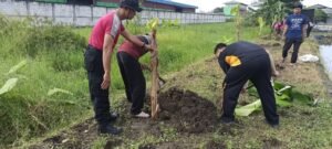 Ubah Lahan Kosong Jadi Green House untuk Ketahanan Pangan Desa Kletek