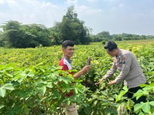 Polsek Prambon Dampingi Petani Beri Arahan Bebaskan Tanaman Terong dari Hama