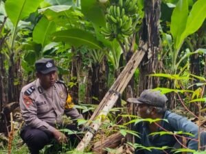 Kapolsek Sedati Masifkan Program Ketahanan Pangan dengan Peran Aktif Bhabinkamtibmas