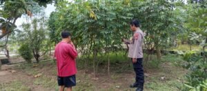 Polsek Wonoayu Tinjau Perkembangan Lahan Ketahanan Pangan di Desa Sawocangkring