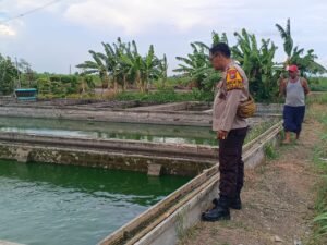 Polsek Krembung Dukung Ketahanan Pangan Lewat Budidaya Ikan Gurami di Desa Rejeni