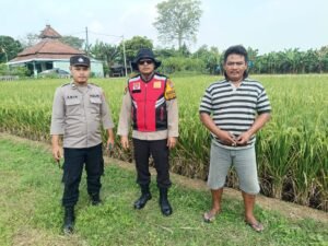 Polsek Balongbendo Dukung Ketahanan Pangan, Dialogis Petani Desa Singkalan