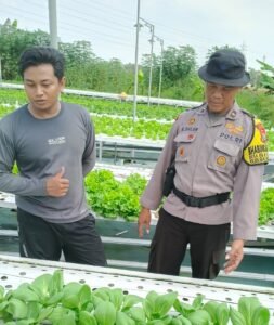 Bhabinkamtibmas Desa Seketi Sambangi Lahan Ketahanan Pangan, Tanaman Sayur Tumbuh Optimal