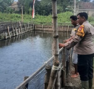 Polsek Tanggulangin Dukung Ketahanan Pangan Polresta Sidoarjo Lewat Budidaya Ikan dan Pertanian Hidroponik