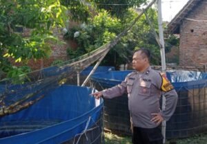 Polsek Krian Polresta Sidoarjo Dorong Ketahanan Pangan Lewat Budidaya Lele di Desa Sidomulyo