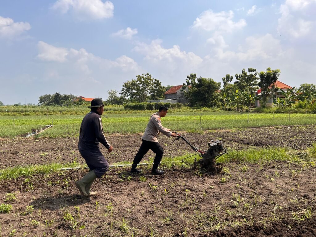 Kanit Binmas Polsek Krembung Bantu Olah Lahan Tanah Petani, Dukung Ketahanan Pangan Polresta Sidoarjo 