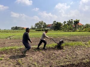 Kanit Binmas Polsek Krembung Bantu Olah Lahan Tanah Petani, Dukung Ketahanan Pangan Polresta Sidoarjo 