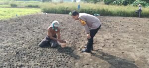 Polsek Sidoarjo Kota Lakukan Pengecekan Lahan Ketahanan Pangan di Kelurahan Sidokumpul