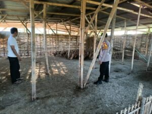 Bhabinkamtibmas Buduran Dampingi Peternak Bebek Wujudkan Ketahanan Pangan
