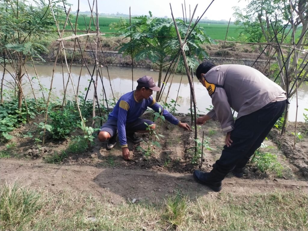 Polisi Turun ke Lahan, Dampingi Petani Wujudkan Ketahanan Pangan di Desa Rejeni