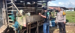 Polisi Penggerak Ketahanan Pangan Imbau Warga Jaga Kebersihan Kandang Kambing demi Lingkungan Sehat