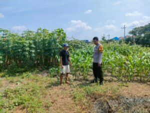 Bhabinkamtibmas Cek Lahan Ketahanan Pangan di Desa Keboananom Gedangan