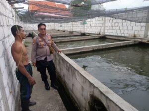 Kanit Binmas Polsek Krembung Dukung Ketahanan Pangan Lewat Budidaya Ikan Lele 
