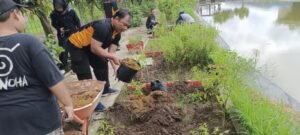 Polsek Krian Dukung Ketahanan Pangan, Bhabinkamtibmas dan Warga Tanam Bibit Cabai di Sidomulyo
