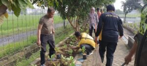 Polsek Krian Tanam Bibit Terong di Lahan P2B Desa Ponokawan, Dukung Ketahanan Pangan Nasional