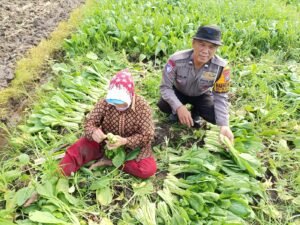 Polsek Balongbendo Dukung Program P2B Kelola Pekarangan Produktif