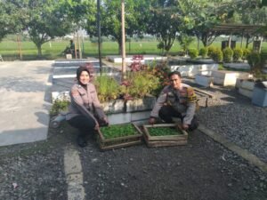 Dua Kanit Binmas Polsek Krembung dan Krian Salurkan Bibit Terong serta Bibit Cabe Dukung Ketahanan Pangan 