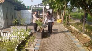 Bhabinkamtibmas dan Anggota Polsek Krian Laksanakan Perawatan Tanaman Terong di Lahan P2B Desa Ponokawan Dukung Ketahanan Pangan Nasional