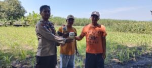 Kanit Binmas Polsek Krembung Aiptu Adin Salurkan Bantuan Pupuk Cair Kepada Poktan Desa