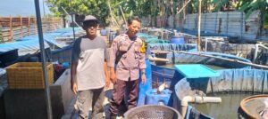 Polsek Krembung Dampingi Petani Ikan Lele Dukung Ketahanan Pangan 