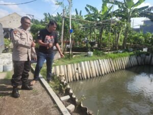 Budidaya Ikan Nila di Desa Tebel Gedangan, Cocok untuk Program Ketahanan Pangan