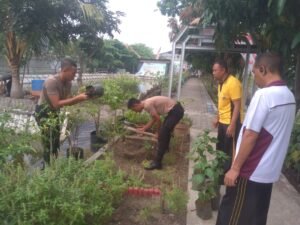 Bhabinkamtibmas Ponokawan Bersama Warga Tanam Bibit Cabai Dukung Program Ketahanan Pangan
