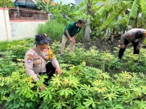 Polsek Krembung Ajak Petani Rawat P2B Secara Berkala, Dukung Ketahanan Pangan 