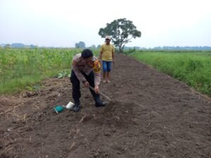 Polsek Krembung Dukung Ketahanan Pangan lewat Budidaya Bawang Merah 