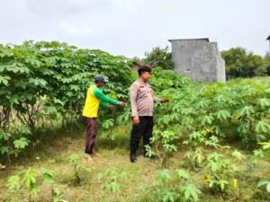 Polsek Prambon Dukung Ketahanan Pangan Gelorakan Tanam Sayur Terong