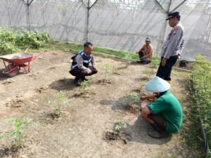 Bhabinkamtibmas Polsek Balongbendo Dampingi Petani Olah lahan Tanah Dukung Ketahanan Pangan 