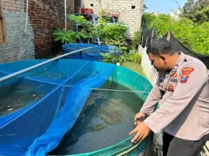 Bhabin Desa Sumput Cek Kolam Lele Milik Petani Dukung Ketahanan Pangan 
