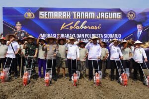 Bupati Sidoarjo Apresiasi Sinergi Imigrasi dan Polresta dalam “Semarak Tanam Jagung”