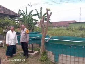 Polsek Krembung Hadir Dampingi Petani Ikan Lele Dukung Ketahanan Pangan Nasional 