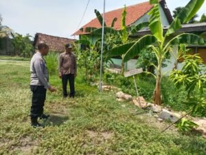 Bhabinkamtibmas Kelurahan Krian Sambangi dan Rawat Lahan Pisang Warga Demi Dukung Ketahanan Pangan Nasional