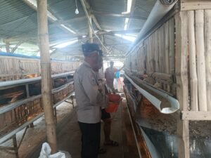 Bhabinkamtibmas Desa Kraton Krian Sambang ke warga Peternakan Ayam Kampung Dukung Ketahanan Pangan 