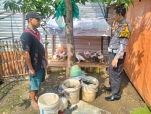 Polsek Porong Dukung Ketahanan Pangan Lewat Beternak Bebek dan Hewan Mentok 
