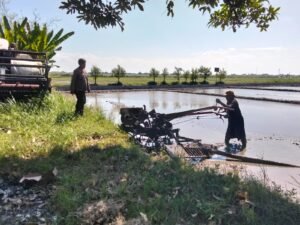 Polisi Cinta Petani, Kanit Binmas Polsek Prambon Dampingi Petani Bajak Sawah