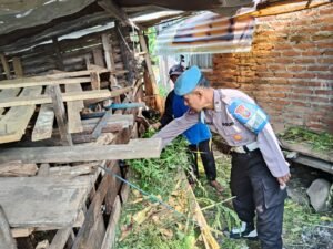 Polsek Porong Dukung Ketahanan Pangan Lewat Budidaya Ternak Hewan Kambing 