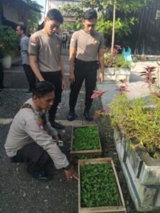 Polsek Krembung Distribusikan Bibit Cabe dan Bibit Terong, Dukung Ketahanan Pangan 