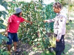 Polsek Porong Dukung Ketahanan Pangan Lewat Budidaya Sayur Kacang Panjang dan Mentimun 