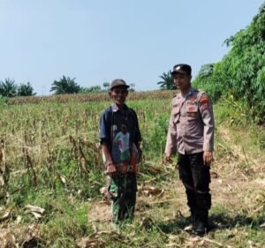 Polsek Tarik Gencarkan Patroli Ketahanan Pangan Perkebunan Jagung