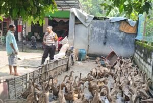 Polsek Tarik Gencarkan Sambang Desa, Dukung Program Ketahanan Pangan Asta Cita Presiden Prabowo
