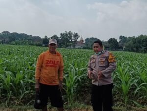 Implementasi Ketahanan Pangan, Polsek Tarik Gencarkan Sambang Desa 
