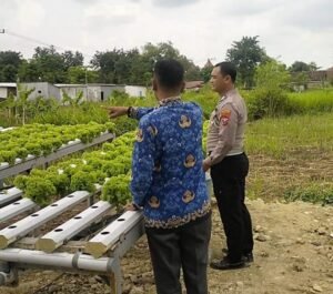 Bhabinkamtibmas Watugolong Bersama Warga Rawat Hidroponik Pakcoy untuk Dukung Ketahanan Pangan Nasional