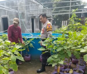 Bhabinkamtibmas Polsek Sedati Sambang Petani Desa Binaan Dukung Ketahanan Pangan 