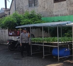 Bhabinkamtibmas Kelurahan Krian Aipda Dadang Sambangi dan Rawat Lahan Hidroponik Pakcoy Bersama Warga untuk Dukung Ketahanan Pangan