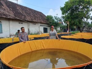 Bhabinkamtibmas Kelurahan Kemasan Ajak Warga Rawat Lahan Budidaya Lele, Dukung Ketahanan Pangan Nasional
