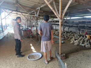 Polsek Porong Dukung Ketahanan Pangan Melalui Budidaya Peternak Hewan Bebek