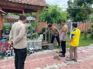 Sinergi Polsek Krembung Dan Pemdes Dukung Ketahanan Pangan Persembahkan Tanaman Holtikultura 